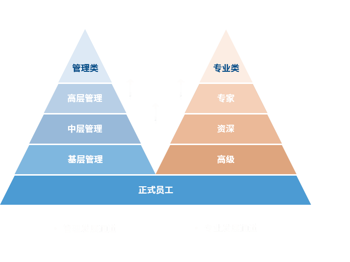 lol竞猜平台 